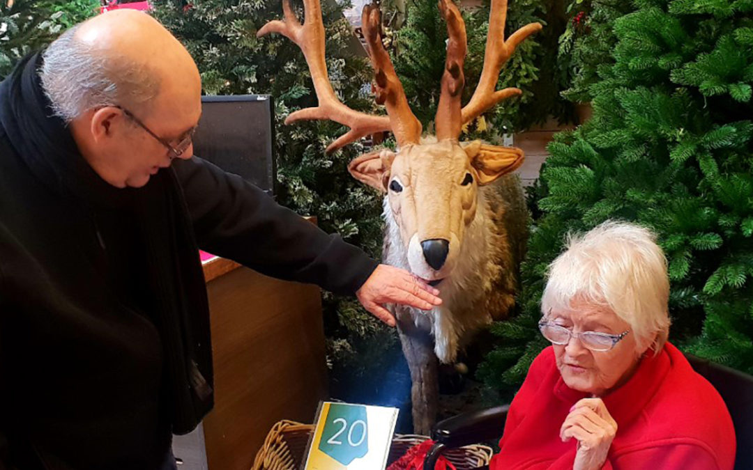 Festive outing to Dobbies Garden Centre at Lukestone Care Home