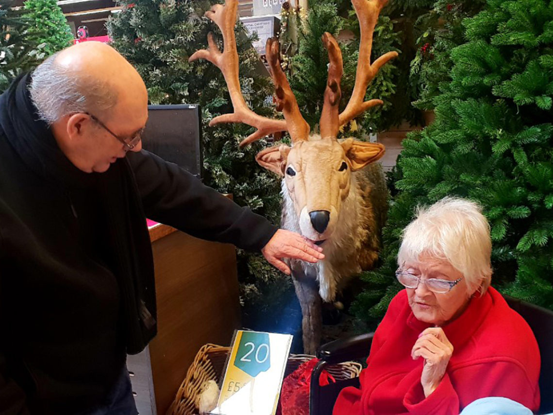 Lukestone Care Home residents enjoying the Christmas display at a local garden centre