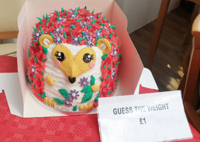 'Guess the weight' hedgehog cake