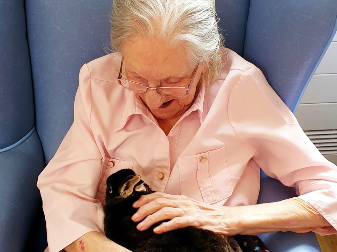 Lady resident petting a rabbit on her lap