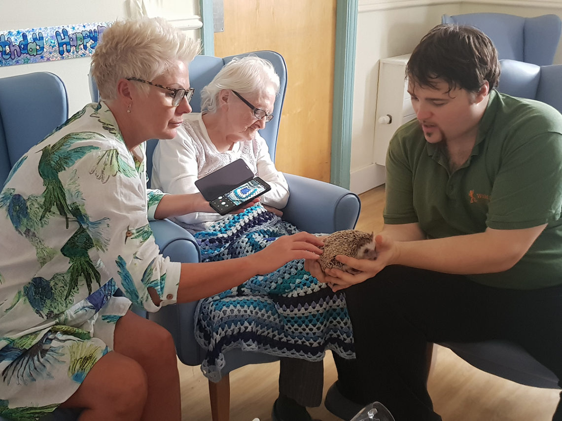 Female Lukestone resident and family member petting a Wild Science hedgehog