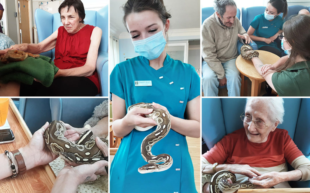Lukestone Care Home residents enjoy Wild Science animal therapy