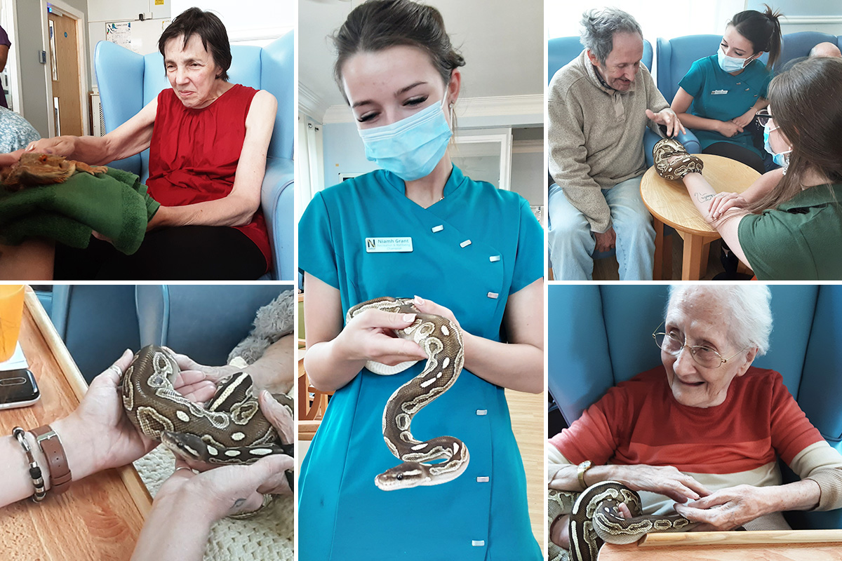 Lukestone Care Home residents and staff enjoying Wild Science animal therapy
