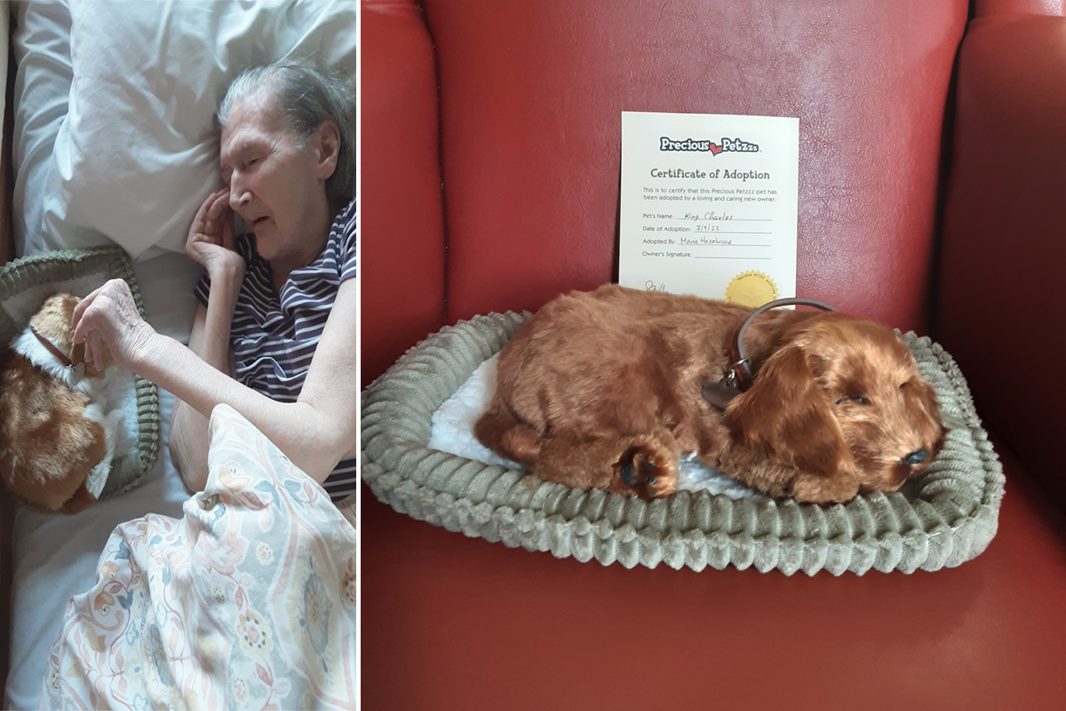 Interactive puppy gifted to Lukestone Care Home resident