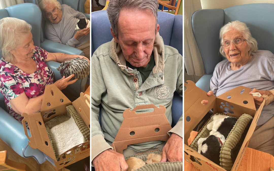 Interactive pets gifted to Lukestone Care Home residents