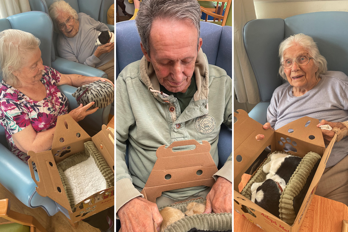 Interactive pets gifted to Lukestone Care Home residents