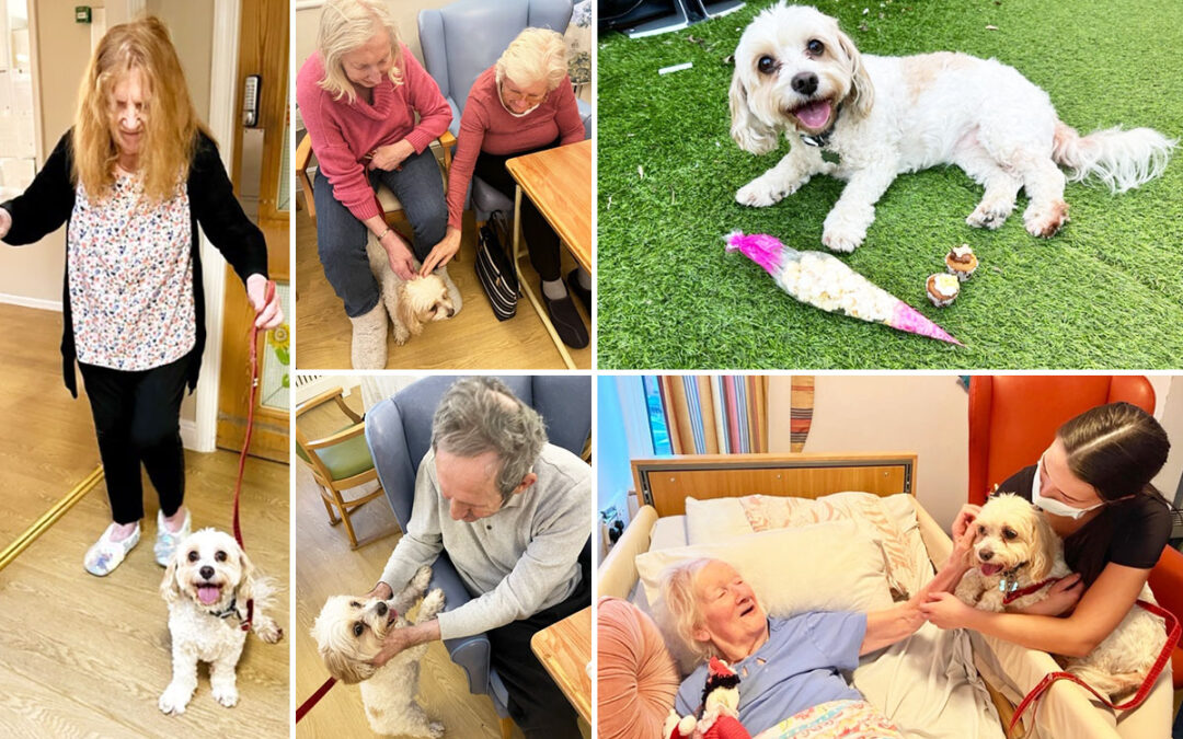 Celebrating International Pet Day with Rosie at Lukestone Care Home