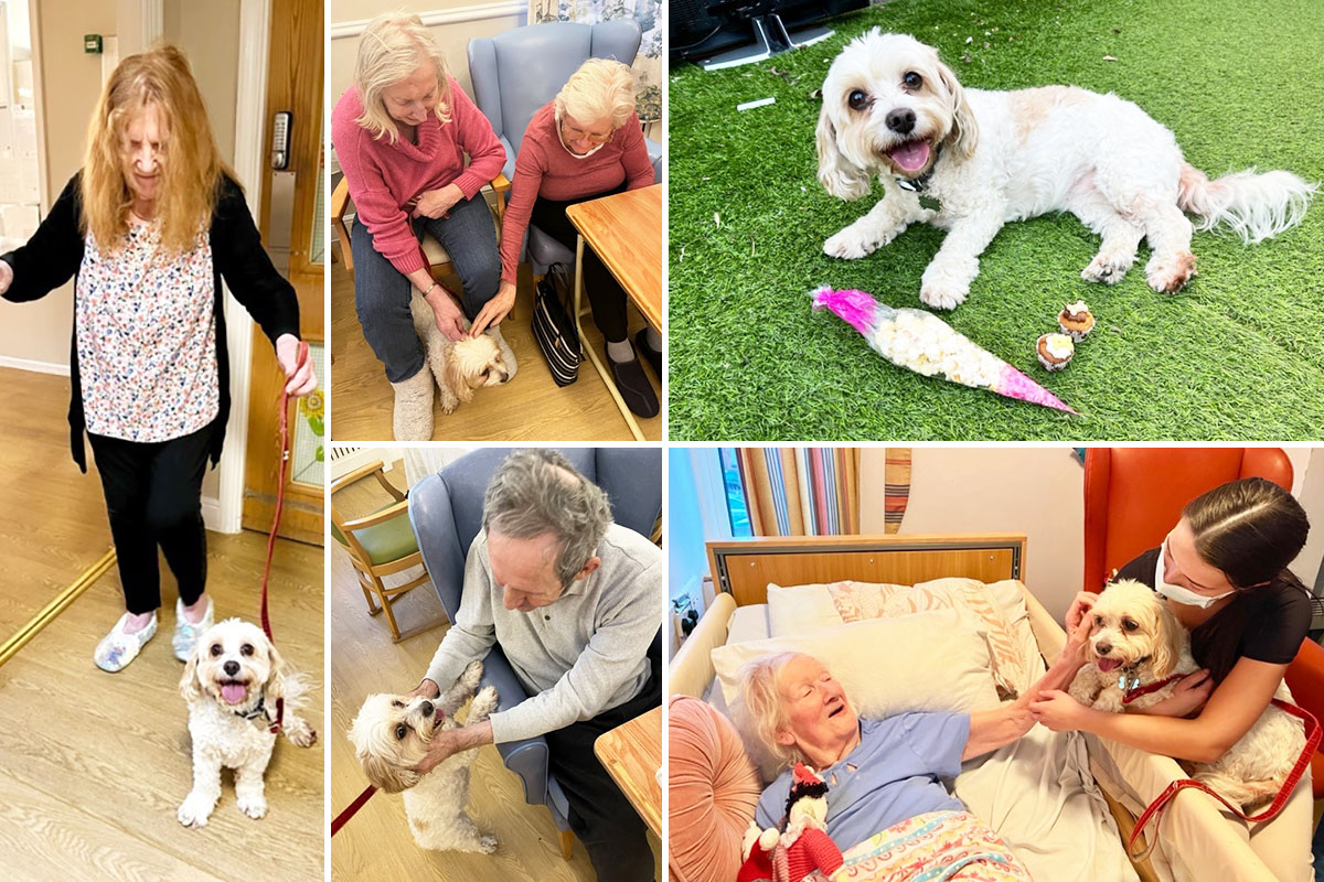 Celebrating International Pet Day with Rosie at Lukestone Care Home