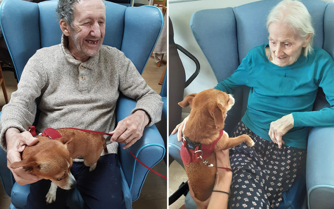 Take Your Dog to Work Day at Lukestone Care Home