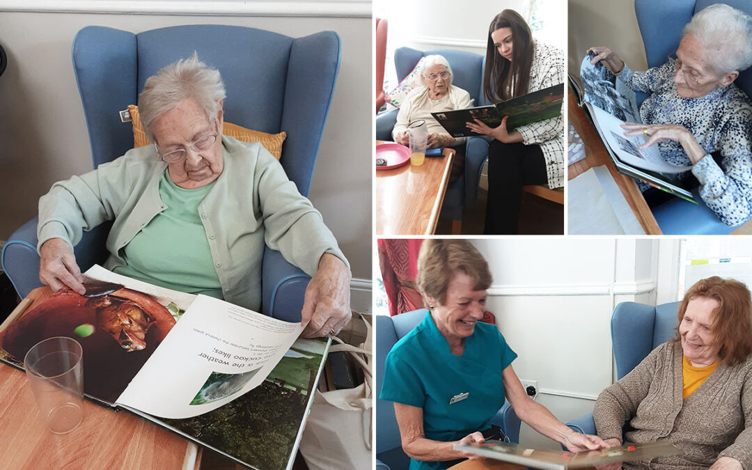 Garden reminiscence with books at Lukestone Care Home