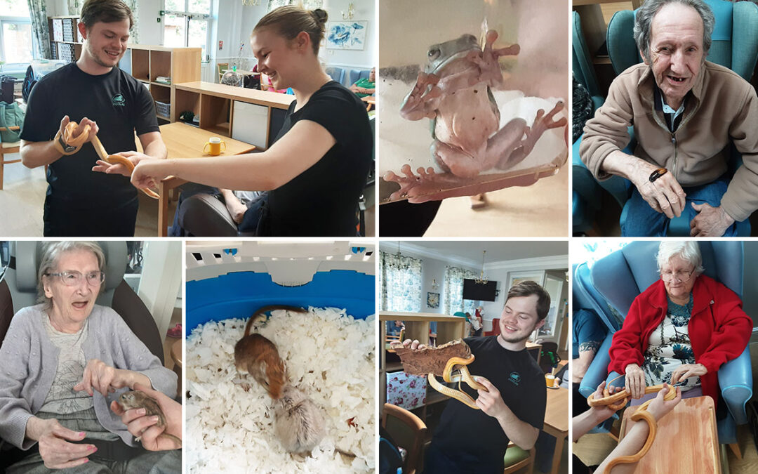 Lukestone Care Home residents get up close to Zoolab animals