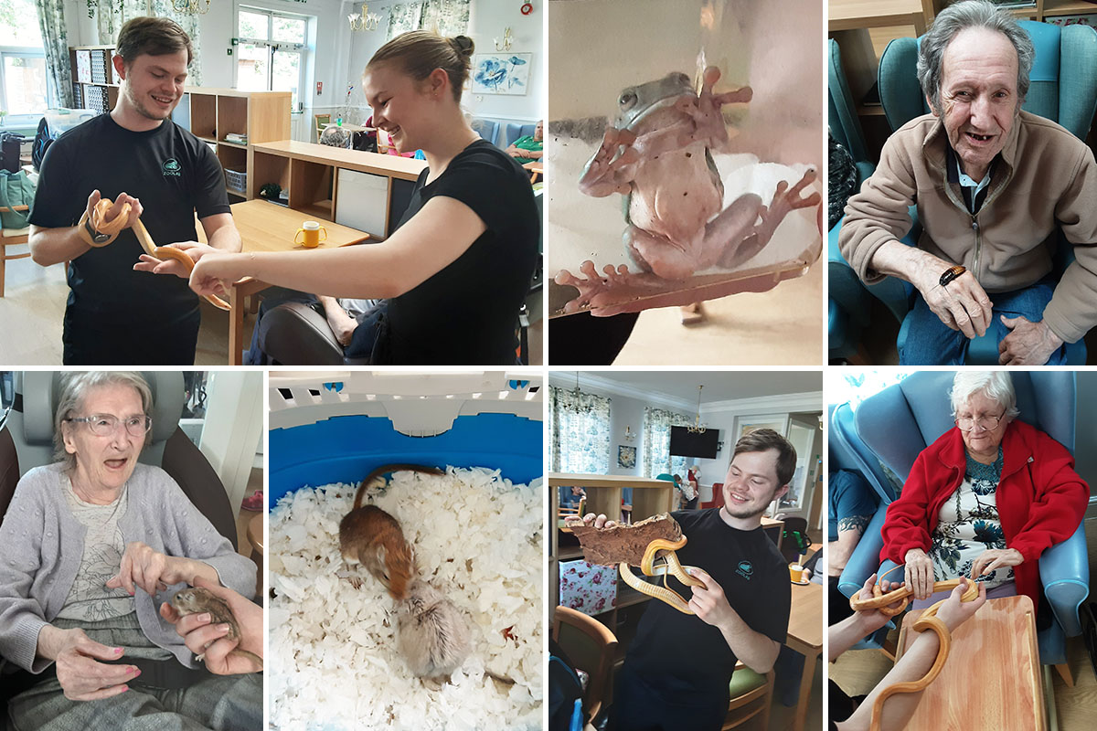 Lukestone Care Home residents getting up close to Zoolab animals