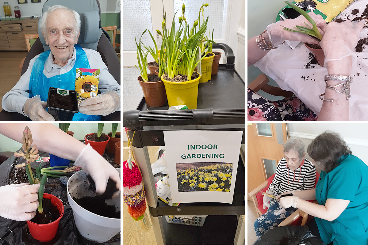 Blooming marvellous at competition at Lukestone Care Home